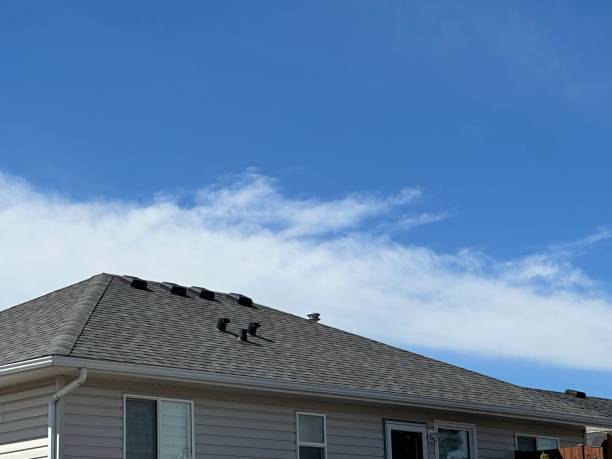 Best Asphalt Shingles Roofing  in Melody Hill, IN