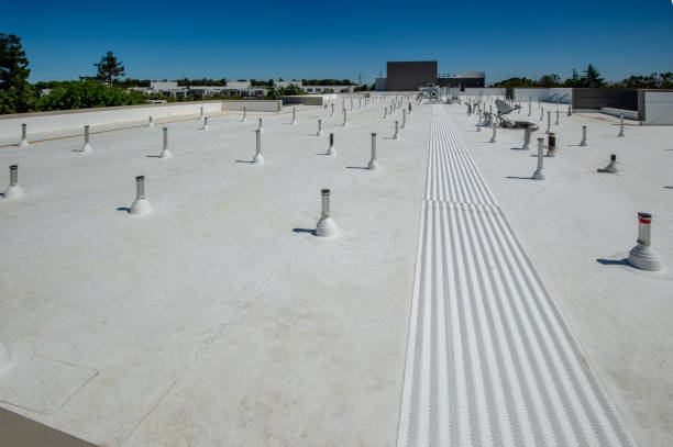 Best Sheet Metal Roofing  in Melody Hill, IN